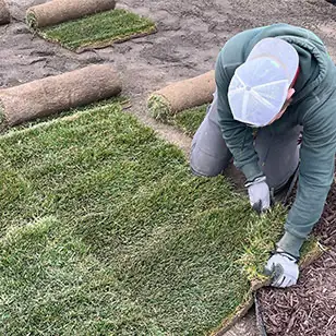 Sod Installation