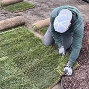 Sod Installation